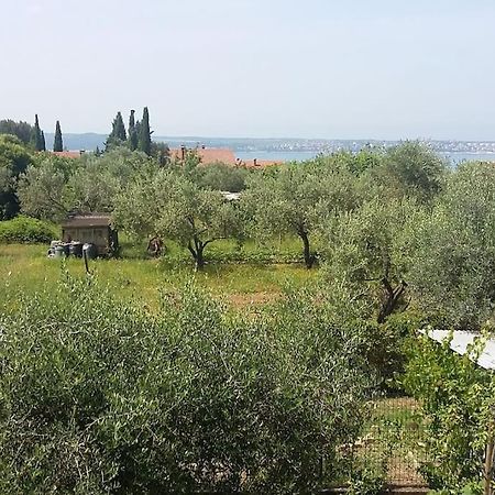 Apartma Iva Piran Exterior photo
