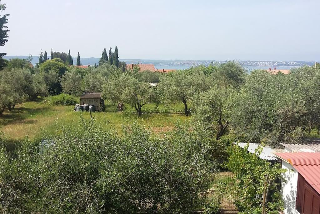 Apartma Iva Piran Exterior photo