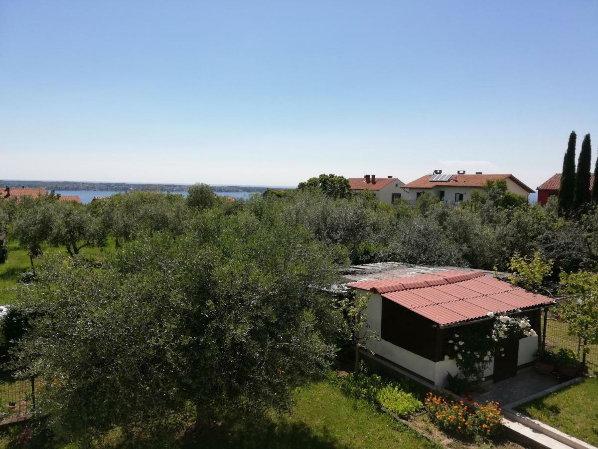 Apartma Iva Piran Exterior photo